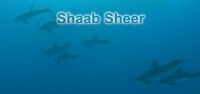 Shaab Sheer