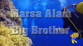 Marsa Alam - Big Brother