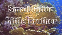 Small Gifton - Little Brother