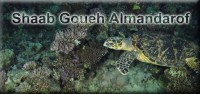 Shaab Goueh Almandarof