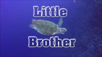 Little Brother