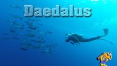 Daedalus