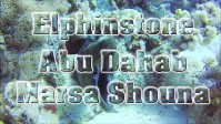 Elphinstone - Abu Dahab - Marsa Shuona