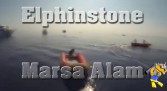 Elphinstone - Marsa Alam