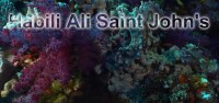 Habili Ali Saint John‘s
