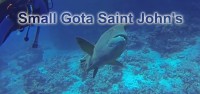 Small Gota Saint John‘s