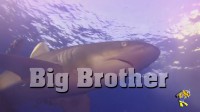 10 octobre 2016 -Big Brother