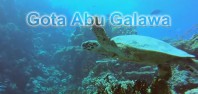Gota Abu Galawa