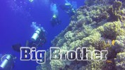 Big Brother