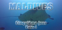 Cinquième jour Vidéo 1