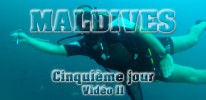 Cinquième jour Vidéo 2
