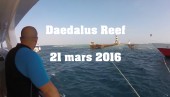 21 mars 2016 - Daedalus Reef
