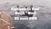 23 mars 2016 - Elphinston Reef South West