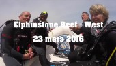 23 mars 2016 - Elphinstone reef West