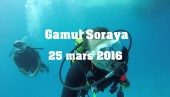 25 mars 2016 - Gamul Soraya