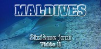 Sixième jour Vidéo 2