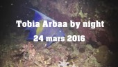 Tobia Arbaa by night