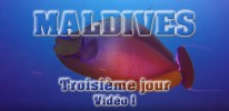 Troisième jour Vidéo 1
